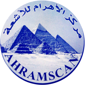 المدونة