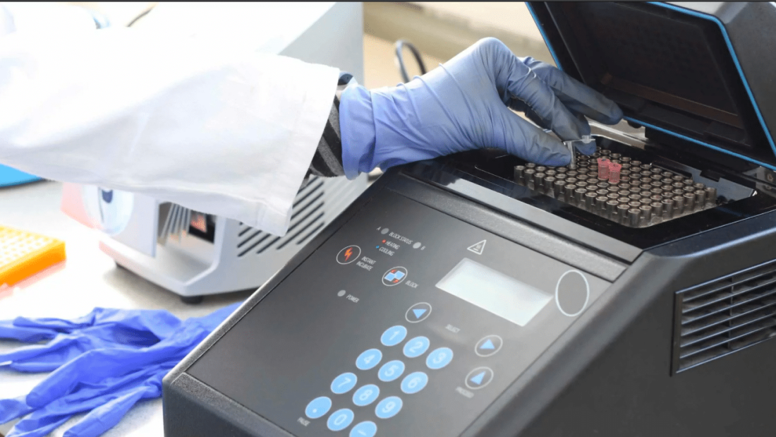 تحليل PCR في القاهرة