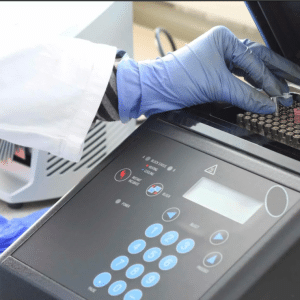 تحليل PCR في القاهرة