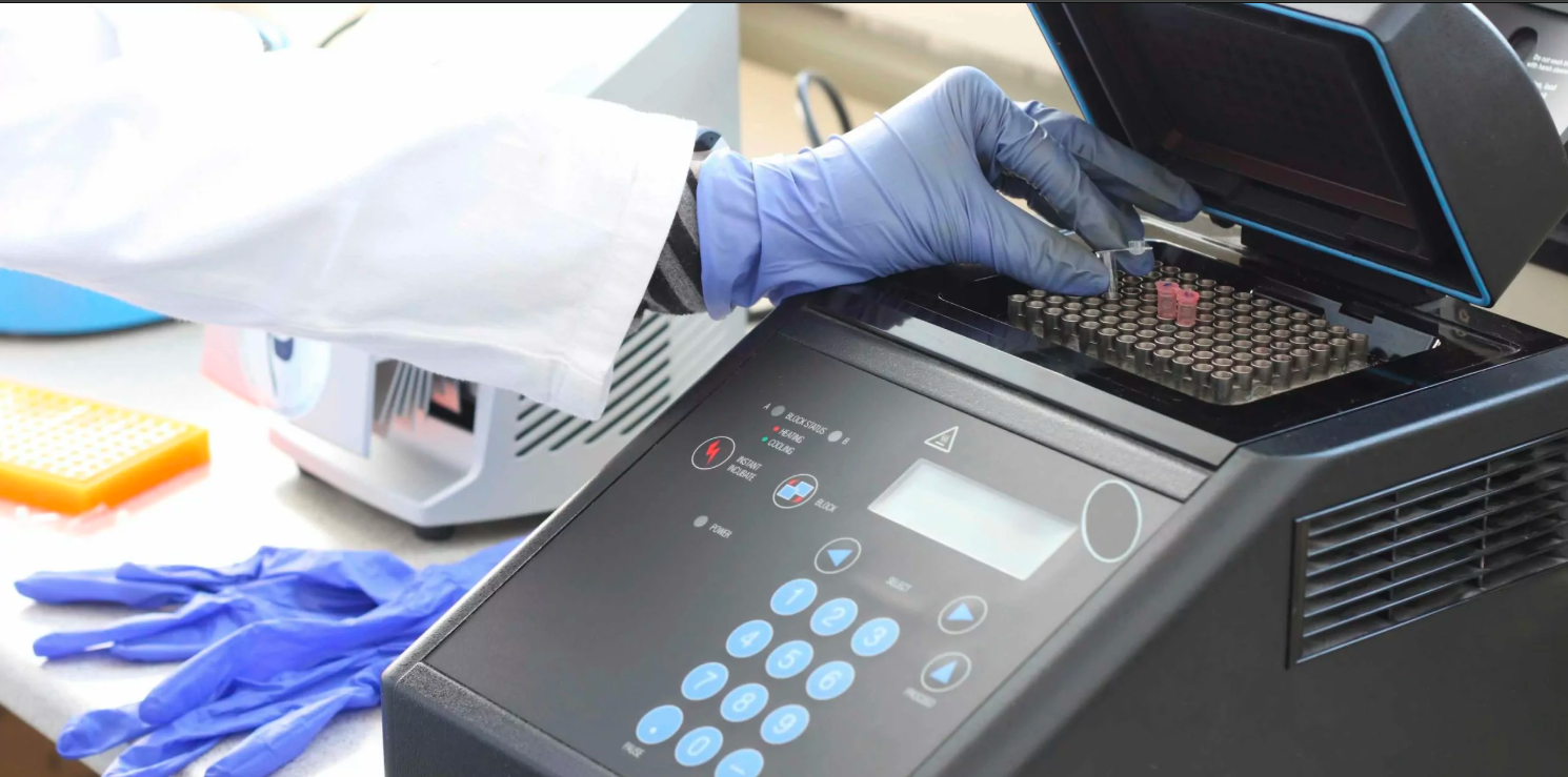 تحليل PCR في القاهرة