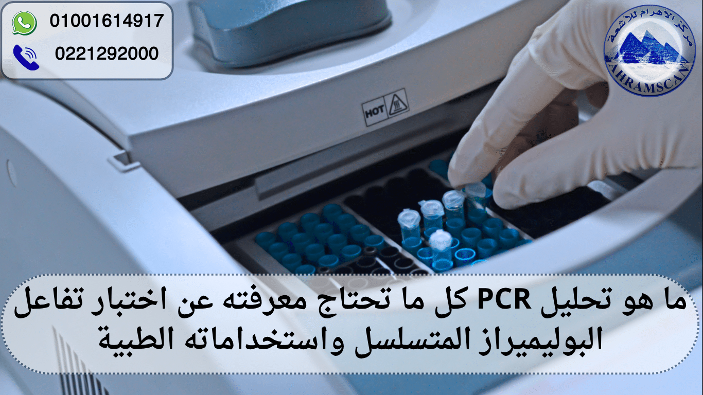 ما هو تحليل PCR
