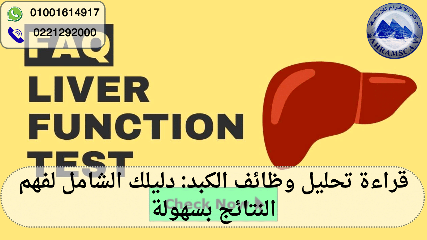 قراءة تحليل وظائف الكبد